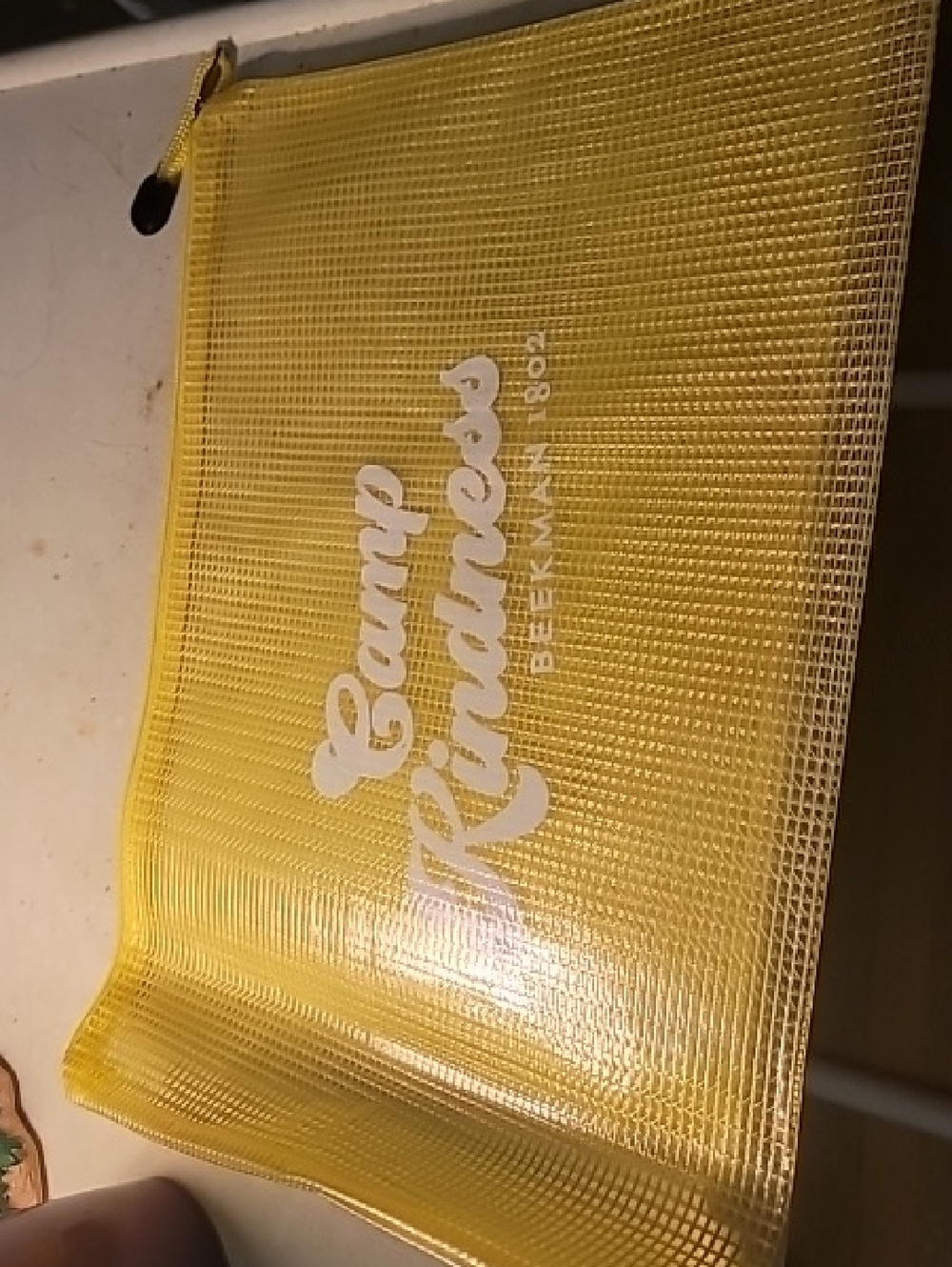 Yellow Mesh Pouch